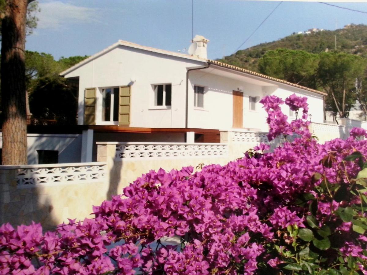 Villa Felices Juntos Platja d'Aro Exteriör bild